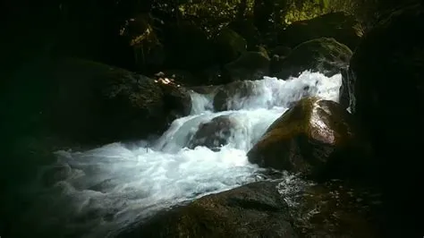  高山流水 沉醉於悠揚的旋律與激昂的節奏之中